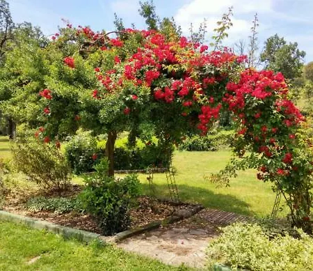 فندق Balneario Banos Del Robledillo San Pablo de los Montes